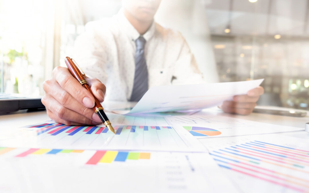 Complex statistical analyzes (modeling, factor analyzes, inferential statistics)